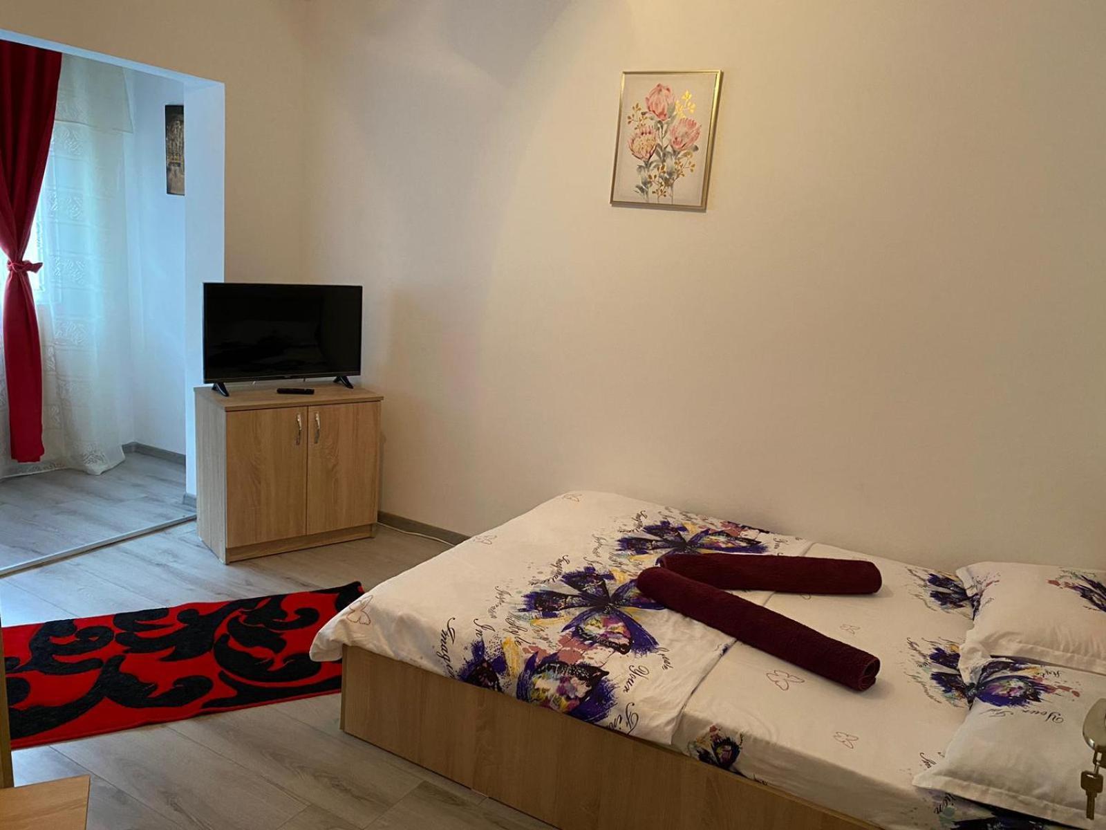 Apartament Costescu Băile Herculane Extérieur photo